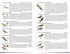 Field Guide to Birds of Greater Southern Africa - Barnes, K. ym 2024